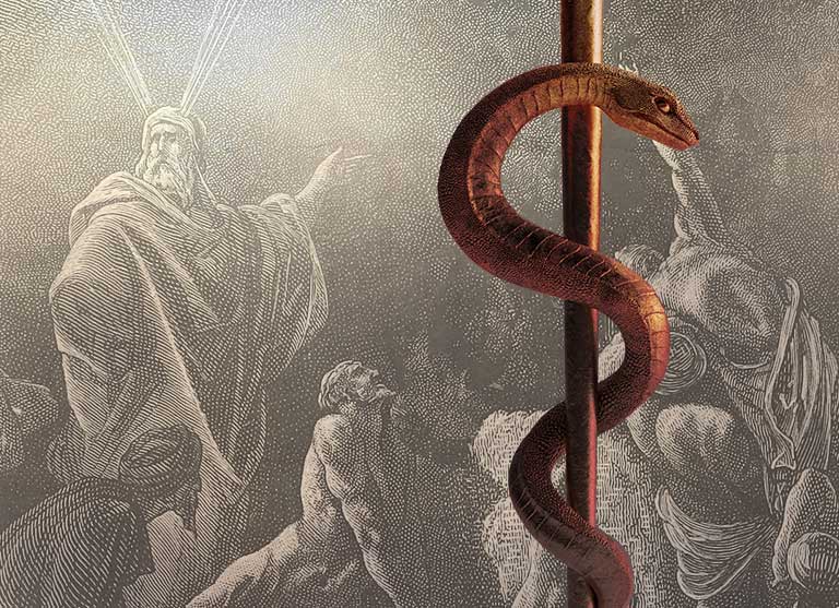 why-did-moses-create-a-bronze-snake-for-healing-numbers-21-4-9